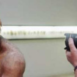 Un grupo de investigadores secuencia el 60% del genoma del neandertal