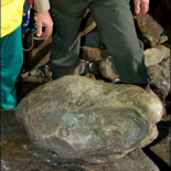 Hallada en Asturias la mayor huella de estegosaurio conocida hasta la fecha