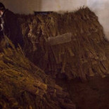 Del cannabis al hachís