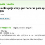 Los hoygan de Yahoo! respuestas