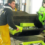 A ese precio, a la basura