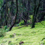 La UE expedienta a España  y Portugal por no proteger suficientes espacios naturales