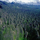 Un mar de rocas impenetrable en Indonesia