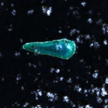 El extraño sur de Japón, tres rocas en el mar que podrían valer millones