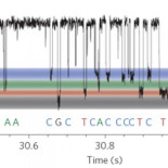Crean una nanomáquina que lee el ADN letra a letra: un sueño cumplido