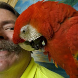 Loro enseña a hablar a bombero [ENG]