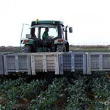 El campo resiste mejor la crisis