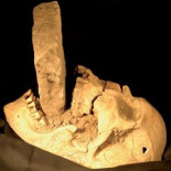 "Vampiro" descubierto en una fosa común