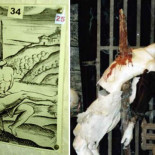 Las diez técnicas de tortura más terribles de la Edad Media