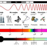 Los supuestos poderes del teléfono móvil