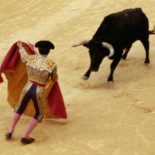 "El toro siente y sufre dolor durante la lidia"