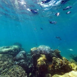 Panorámica de 360° dentro de una arrecife de coral en Nueva Caledonia