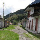 El timo de algunas ONG