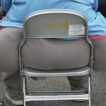 Descubierto un regulador de grasas en el cuerpo, clave para mantenerse delgado [ENG]