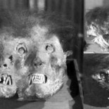 Las momias vivientes de Honshu [ENG]