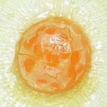 Los alimentos que nunca pensé que se podrían congelar