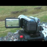 Ovejas + LEDS = ....