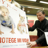 El lince de la campaña publicitaria episcopal no es ibérico sino euroasiático