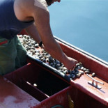 Historia de un Viejo Informático. El Sort (o el viejo problema de ordenar las cosas)