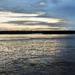 Científicos españoles comprarán 100.000 hectáreas para conservar el Amazonas