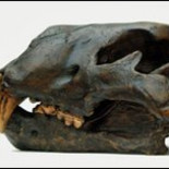 Leones gigantes poblaron Europa hace 13.000 años (Eng)