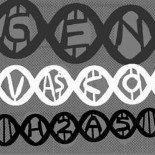 Un científico gallego descubre el linaje genético de los vascos