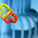 El principio de Peter en la empresa