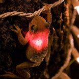 Me temo que esto no es una luciérnaga…