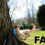 ¿Qué es el fracaso? [HUMOR]