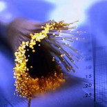 Japón acelera la banda ancha a 1 Gbps