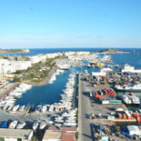 El Gobierno pone en peligro el ser vivo más grande del planeta: un ejemplar de Posidonia oceanica que tiene 100.000 años