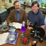 Descubren un patrón de extinciones masivas en la Tierra cada 62 millones de años... y la última fue hace 65 (ING)