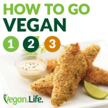 El horror de los pollos boiler (o por qué es barata la carne de pollo)