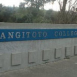 Más de 25 posibles casos de gripe porcina en Nueva Zelanda [ENG]