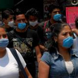 Claves para entender la gripe porcina