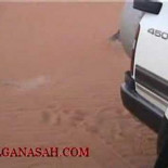 "Superconejo" escapa de un halcón