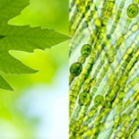 Cómo detectar vida en exoplanetas