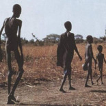 Olvídese de la Gripe Porcina: Éstas son las diez verdaderas pandemias del siglo XXI