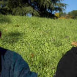 "Quiero que la gente vea el vídeo para que sepan qué le pasó a mi hijo" - Madre de Carlos Palomino