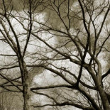 Desarrollan una enzima que hará comestible el material de construcción [Humor]