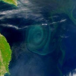 Galería de imágenes de la basura oceánica