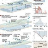 El Gobierno planea inundar Daimiel con agua residual depurada