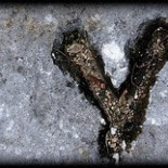 La extinción masculina: el declive y desaparición del cromosoma Y