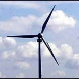 Las cabras víctimas de la energía renovable