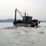 Denuncian la pesca de sardina con explosivos, otro año más [glg]