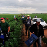 Marinaleda en el New York Times (ING)