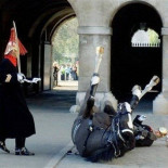 Las 95 mejores fotos de Reuters (impresionantes)