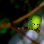 Orugas que parecen aliens [eng]