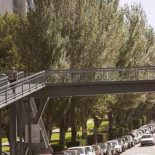 La presión vecinal obliga al Ayuntamiento de Vigo a suspender la tala de 450 chopos