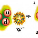 Gran descubrimiento en el Fermilab: Un pequeño paso para el Modelo Estándar, un gran paso hacia el bosón de Higgs